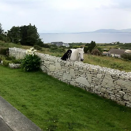 Sunnymeade Accommodation With Sea View Galway